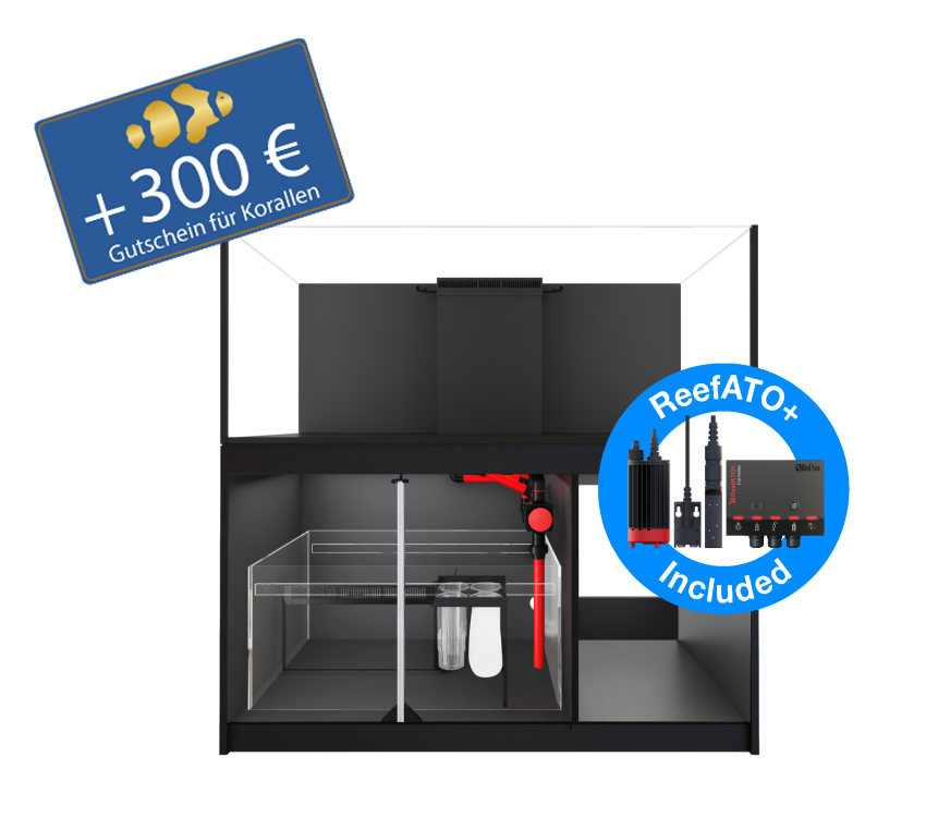 Red Sea Reefer 625 G3
