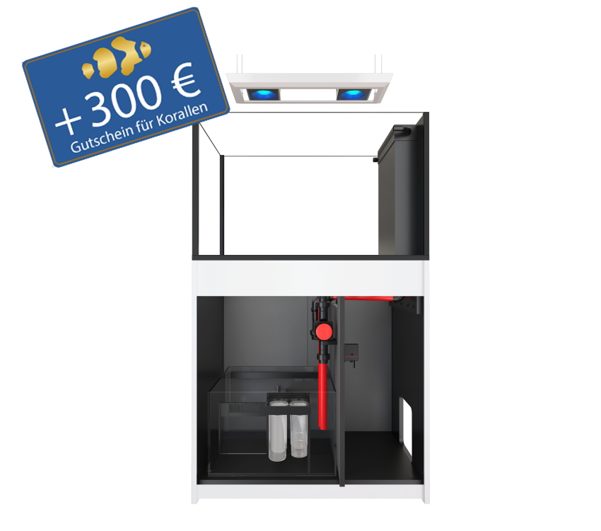 Reefer Peninsula 350 G3 - DELUXE