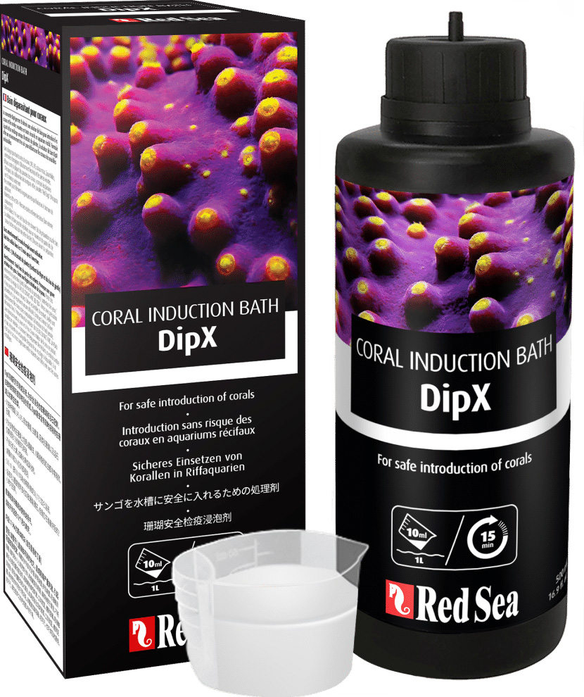 DipX 100ml DipX 100ml
