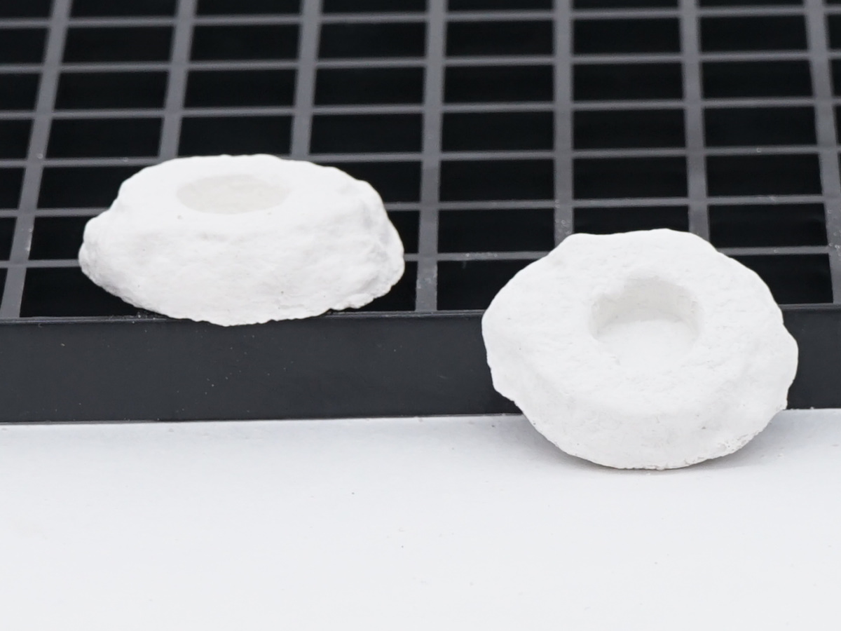 Ablegersteine 100 Stück / Rund 3 cm  mit Loch Ablegersteine 100 Stück / Rund 3 cm  mit Loch