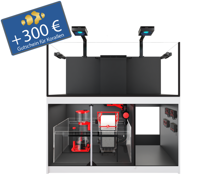 Reefer 625 G3 - MAX - inkl. aller Technik