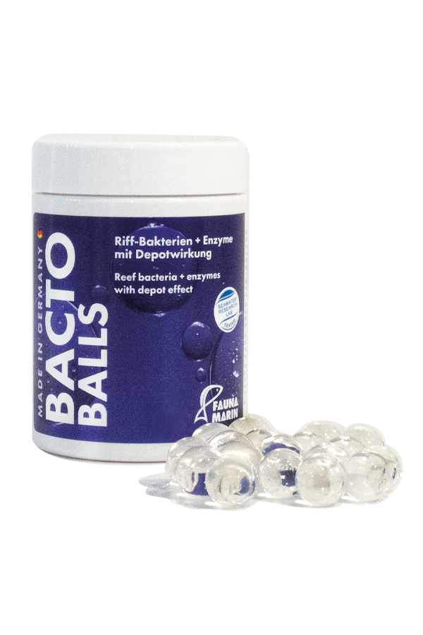 Bacto Balls - Bakterien Kugeln - 100 ml