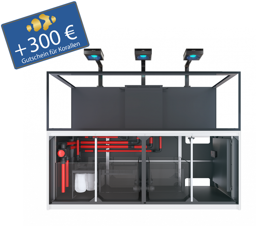 Reefer S 1000 G3 - Deluxe