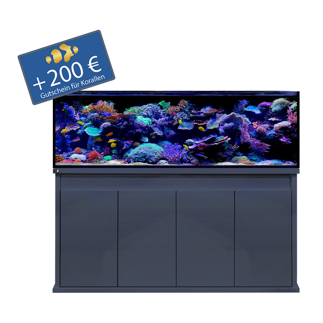 D-D Reef-Pro 1800 - Holzunterschrank