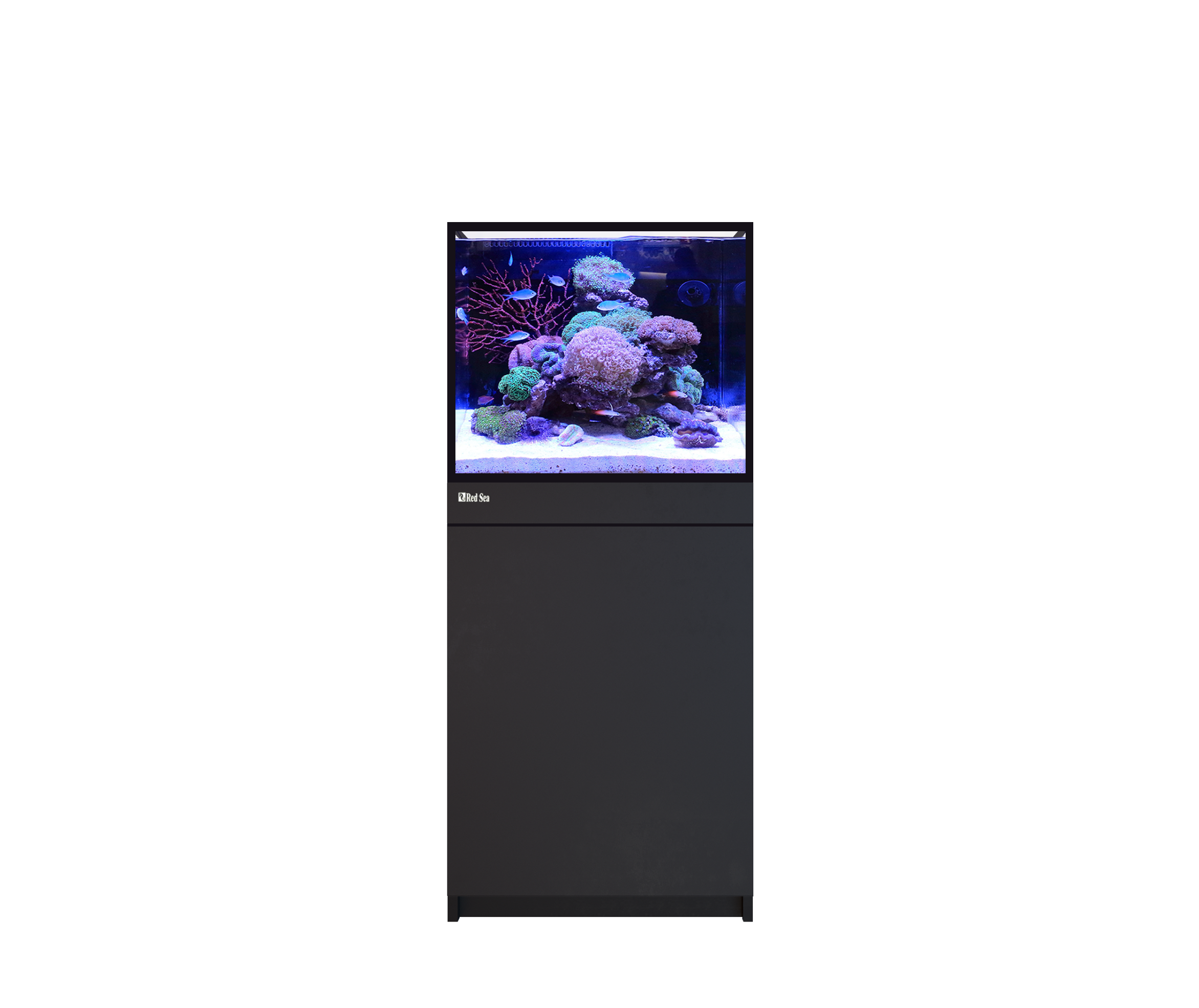 Red Sea REEF FRAME 170