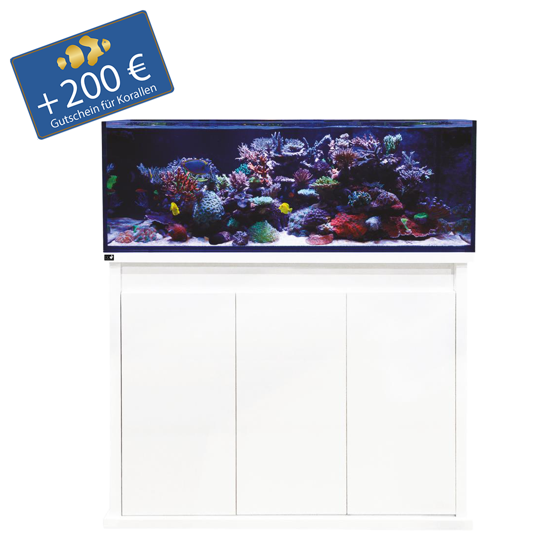 D-D Reef-Pro1200 - Holzunterschrank