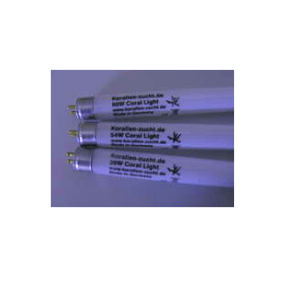Coral Light 24 W