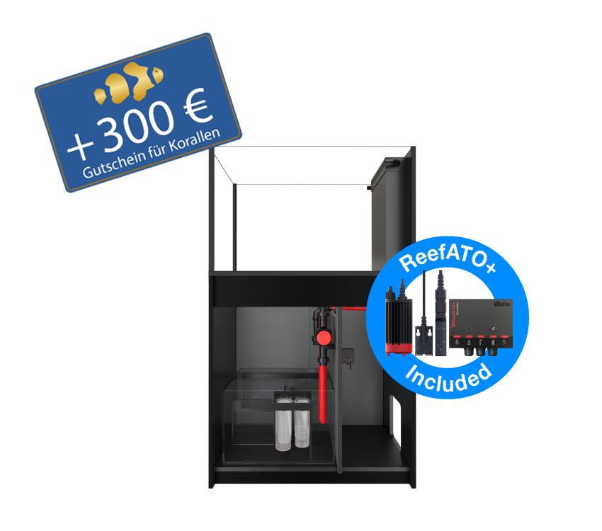 Red Sea Reefer Peninsula 350 G3