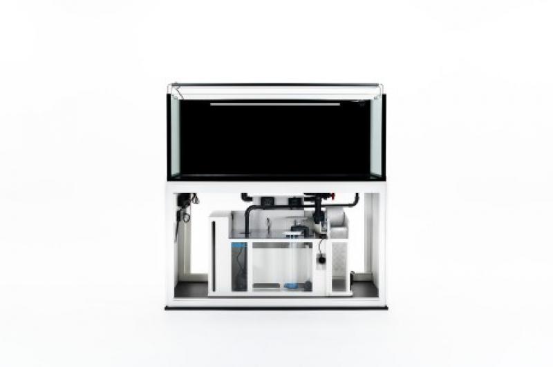 Das Reeftank Systemaquarium / Deltec 540 Liter