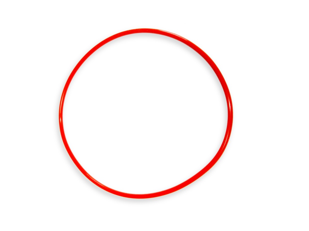 Dichtungsring 148 x 2,5mm für Mini Bubble King 160 Konus Dichtungsring 148 x 2,5mm für Mini Bubble King 160 Konus