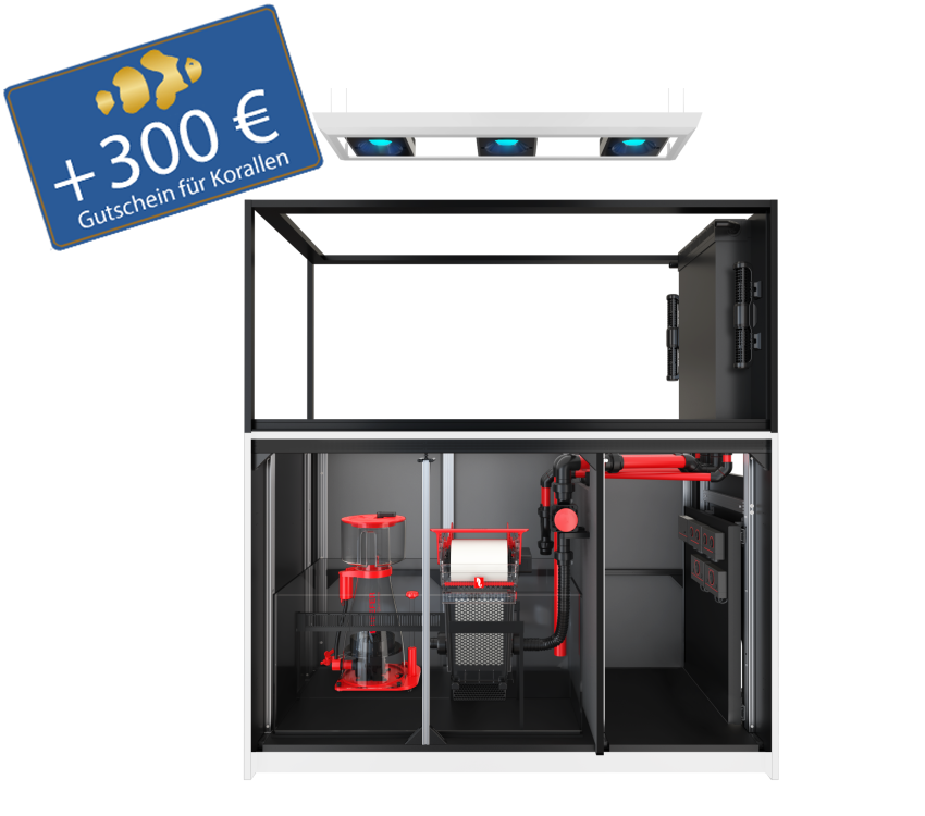 Reefer Peninsula S-700 G3 - MAX - inkl. aller Technik