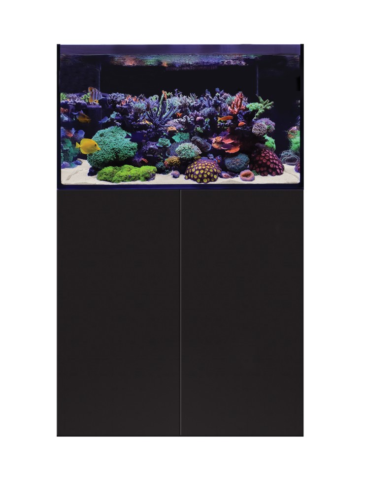 D-D Aqua-Pro Reef Wood 900 Black Satin