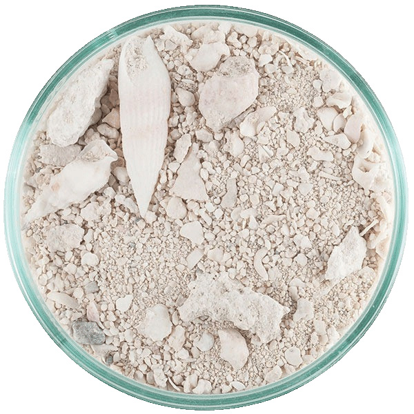 CaribSea Ocean Direct Original Grade 2,27 kg CaribSea Ocean Direct Original Grade 2,27 kg